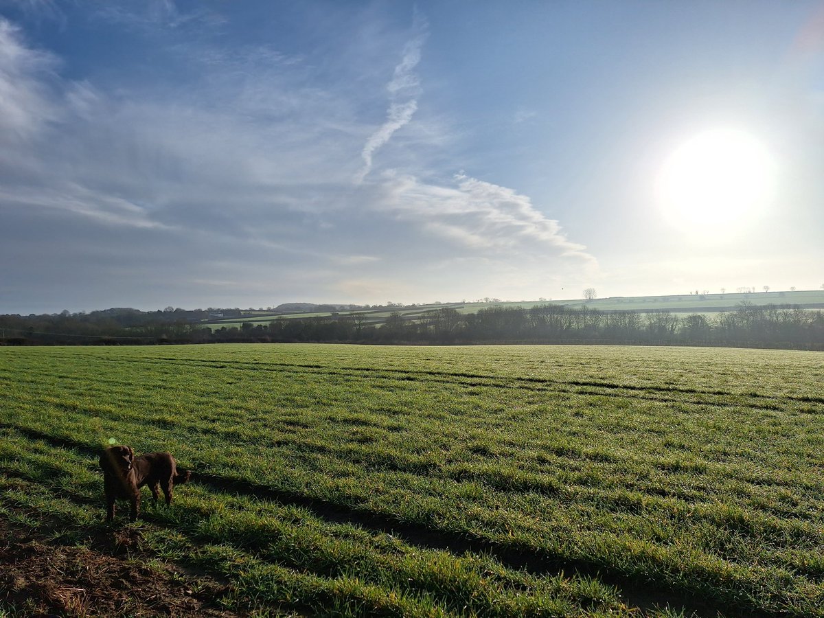 RobJames68's tweet photo. Lovely relaxing weekend away in #Morcott #Rutland #HappyDog #WeekendFun https://t.co/vAGSR2sbGY
