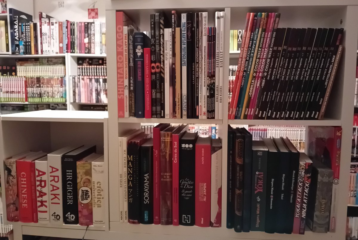 AntoninVieux's tweet photo. Réorganisation de la bibliothèque réservée aux artbooks, beaux livres, études et magazines divers 📚
#japan #korea #asia #atom #wsj #akiba #otomo #animeland #rockyrama #Taschen #yokai #onepiece https://t.co/2yVNrEsqNW