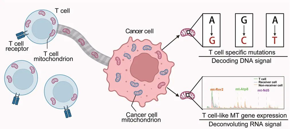 New on the list for how devious cancer cells can be:
✓ change their driver mutation and identity during treatment
✓ steal mitochondria from T-cells
✓ secrete a virus-like protein that unleashes  autoimmunity
—and what to do about it
in the new Ground Truths (link in profile)