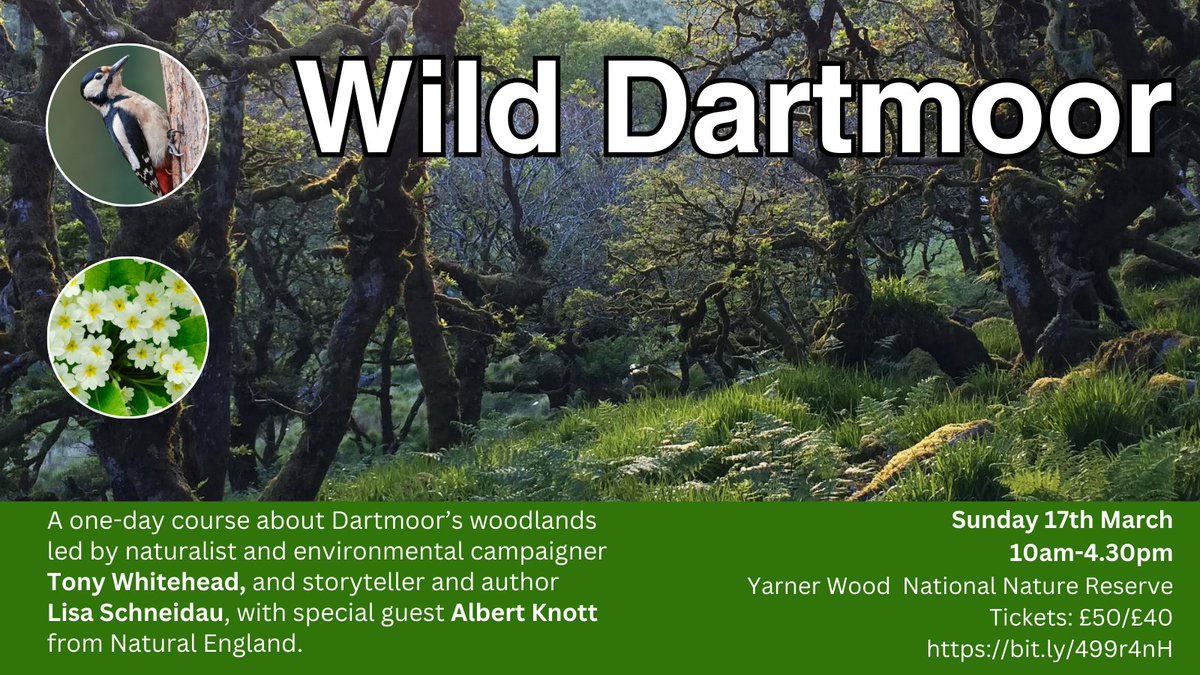 Super excited to announce our new one-day course on Dartmoor's woodlands ... ecology, history, and folktale with @LisaSchneidau and me ...  book here ... 

tickettailor.com/events/lisasch…