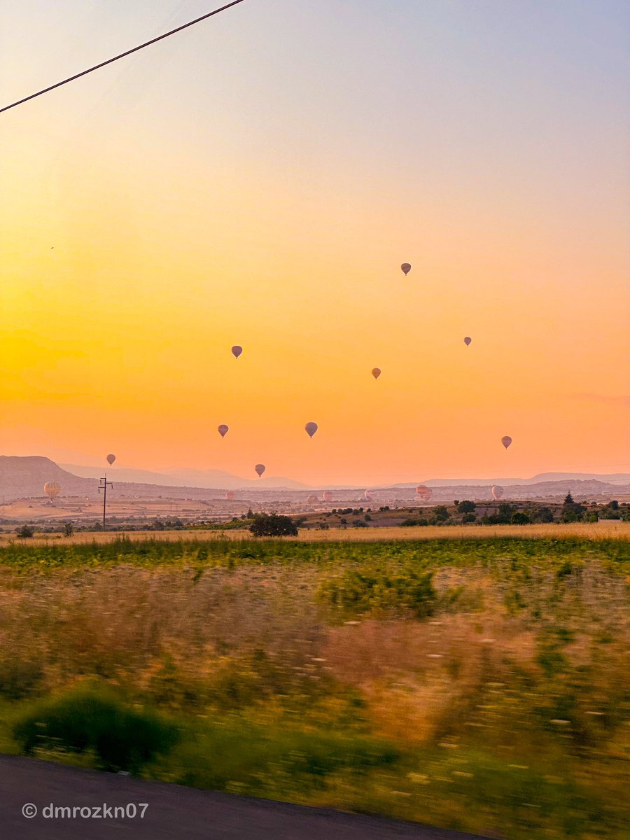 Doğuhan tweet media