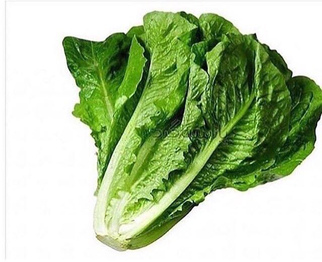 .
.
.
سؤال للأذكياء
ماهو جمع كلمه خس ؟

اتحفوني بالإجابة 🤣 
😅🏃🏃🏃