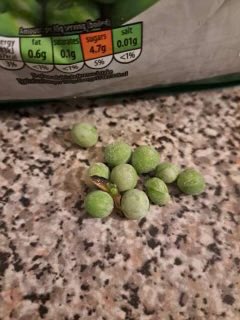 Tristan Tipping tweet media