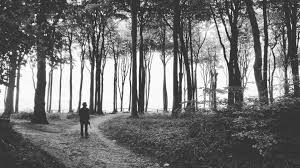 VonBren's tweet photo. Jeder Schritt vorwärts, den der Geist auf seinem Wege zur Erkenntnis  tut, bringt irgendeine Entdeckung, die nicht nur neu, sondern, im  Augenblick wenigstens, auch die wertvollste ist.   
-.  John Locke https://t.co/2ROqzQMLkR