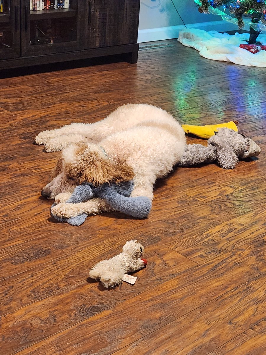 Chelsea Beadle tweet media