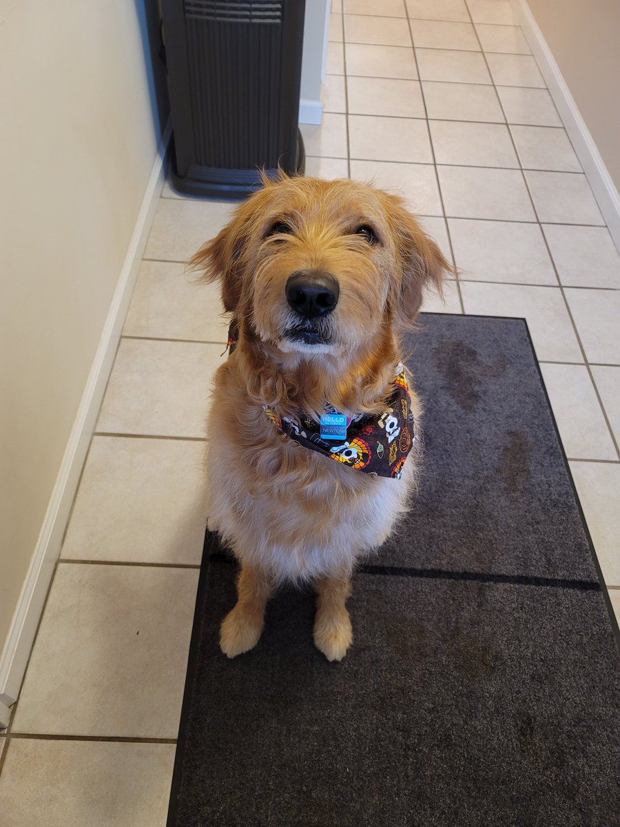 Chelsea Beadle tweet media