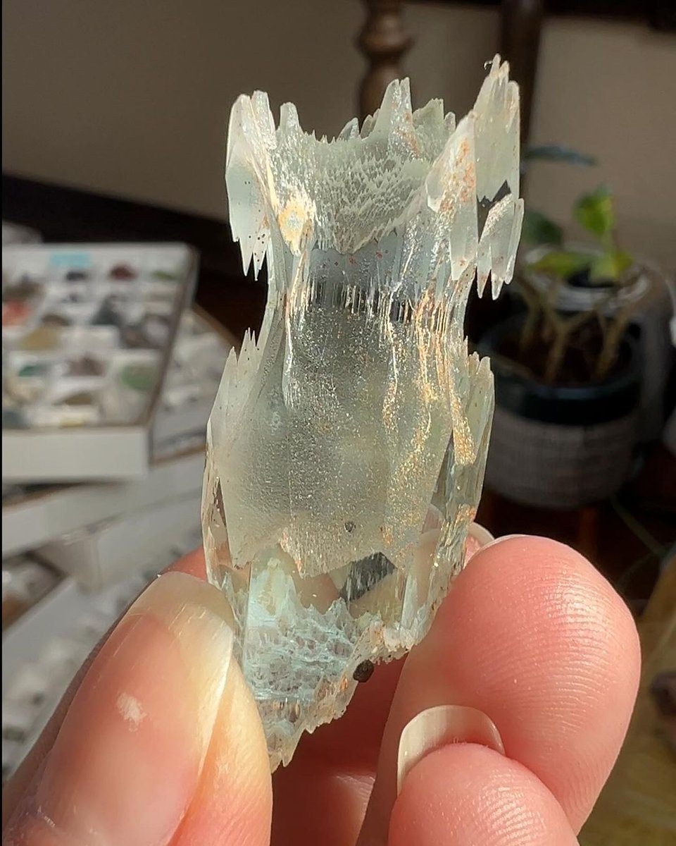 GeologyTime's tweet photo. Etched aquamarine crystal from Pakistan.

Photo: Theeclecticcollects https://t.co/5hnfans1EH