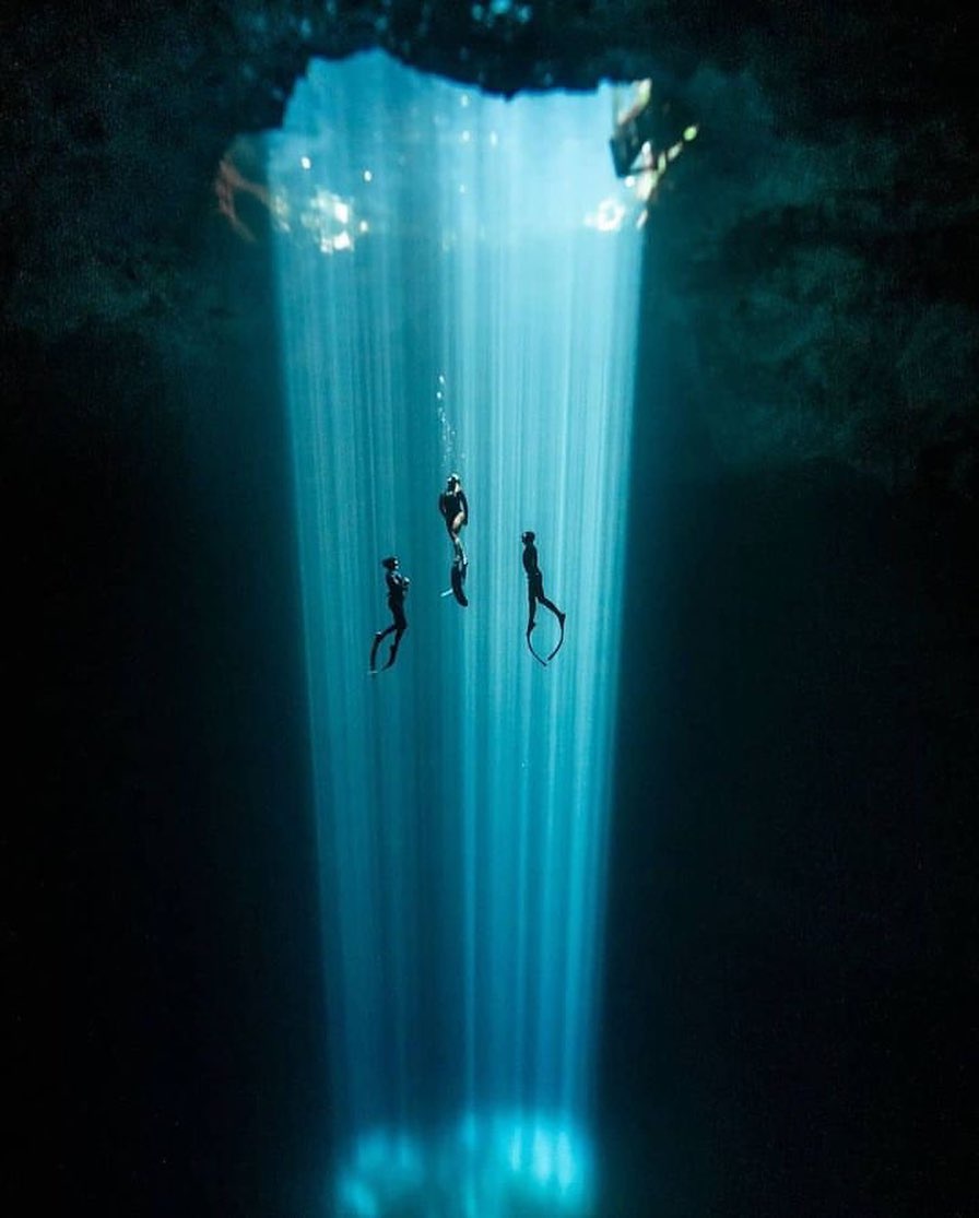 This could be a poster for a scifi movie!!😍😅
-
-
Tag someone who needs to see this💙
-

#freediver #scubapro #scubalife #tauchen #divinglife #divingtrip #greatwhiteshark #mantaray #underwaterpics #instadive #marineconservation #scubadiverslife #lifeunderwater