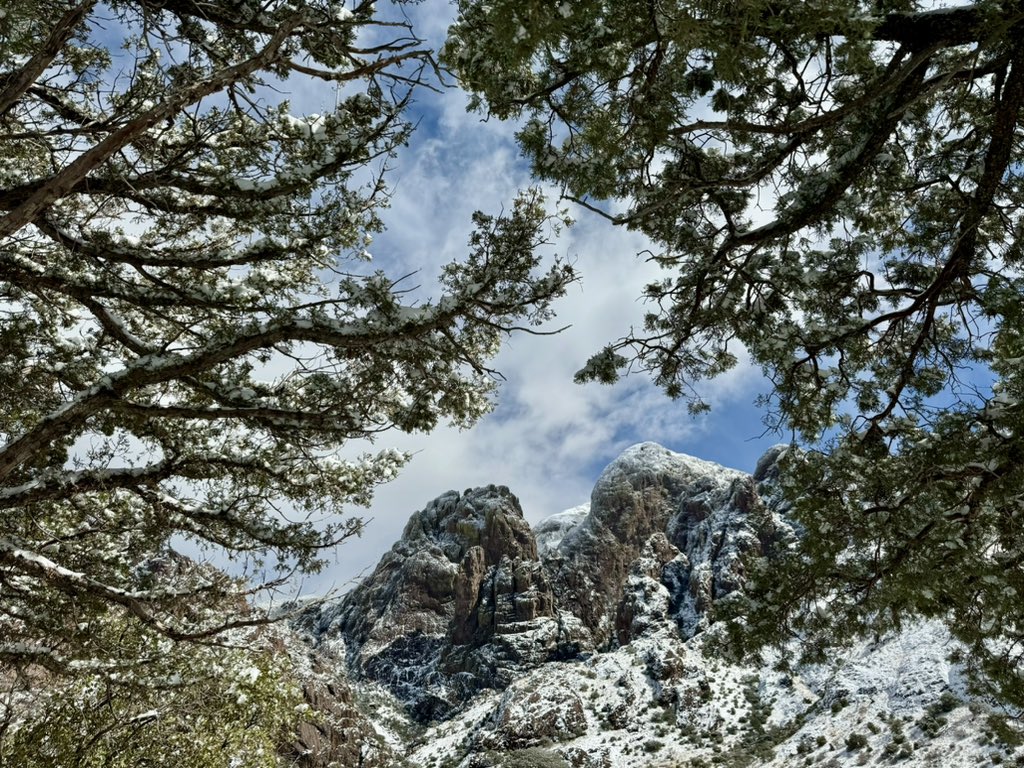 awarnergarrett's tweet photo. It’s incredible how Southern New Mexico can transform into a winter wonderland. ❄️ #NewMexicoTrue https://t.co/t2ZMlPLQja