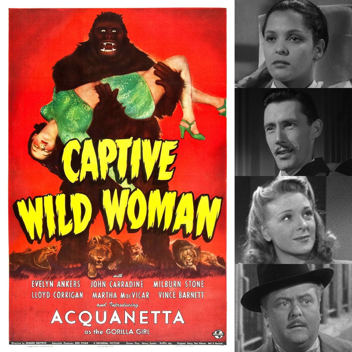 Kevin Bows 🐈🎞️🕰️ tweet media