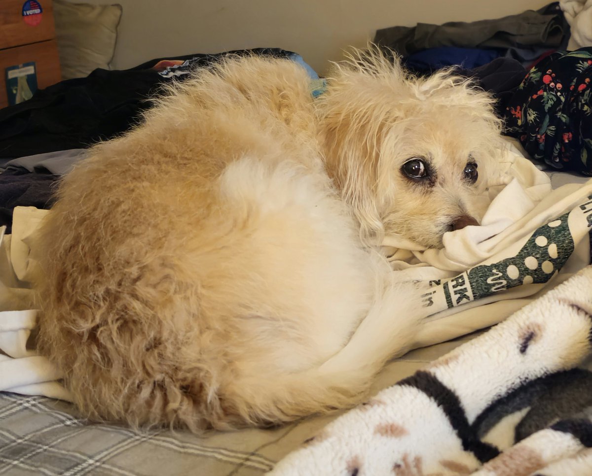 Vinnie Donadio tweet media