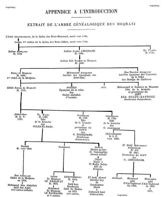 Tamachahout's tweet photo. Extrait de l’arbre généalogique de la famille Kabyle des Mokrani ⵣ🇩🇿, Ils sont les descendants direct des hammadids ⵣ🇩🇿. https://t.co/qNMZIhcM3M