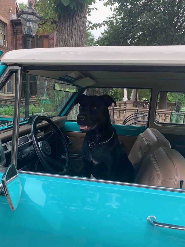 Governor Tim Walz tweet media