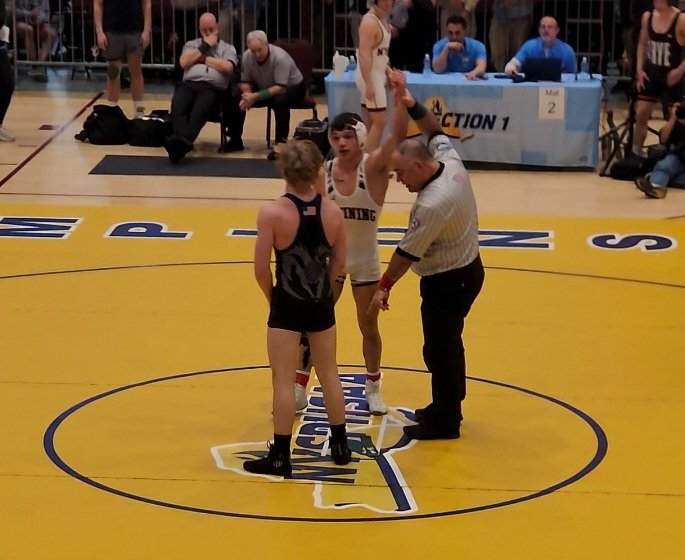 Angelica Lofaro tweet media