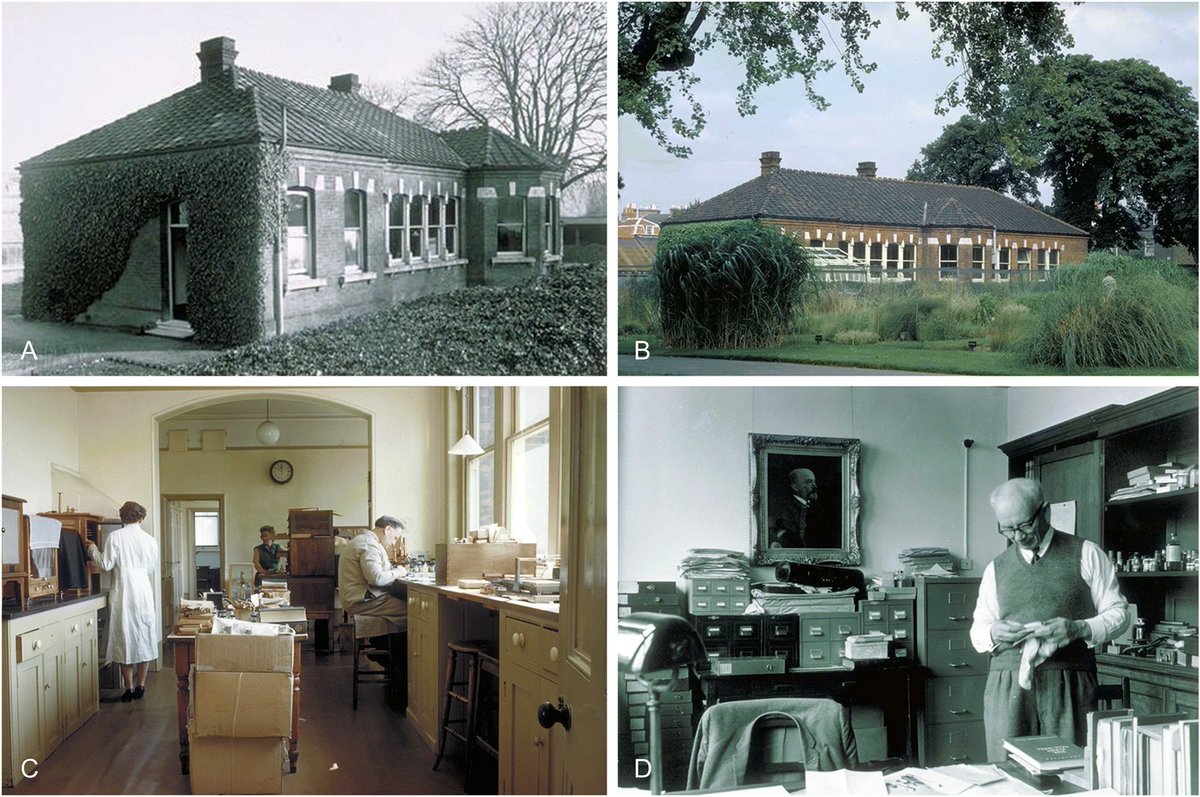 To celebrate #WomenInScienceDay we feature a piece by Paula Rudall, Honorary Research Associate (Emeritus) giving a historical account of the Jodrell lab @KewScience, one of the world’s first non-university affiliated labs for plant sciences. Check it out: doi.org/10.1007/s12225…