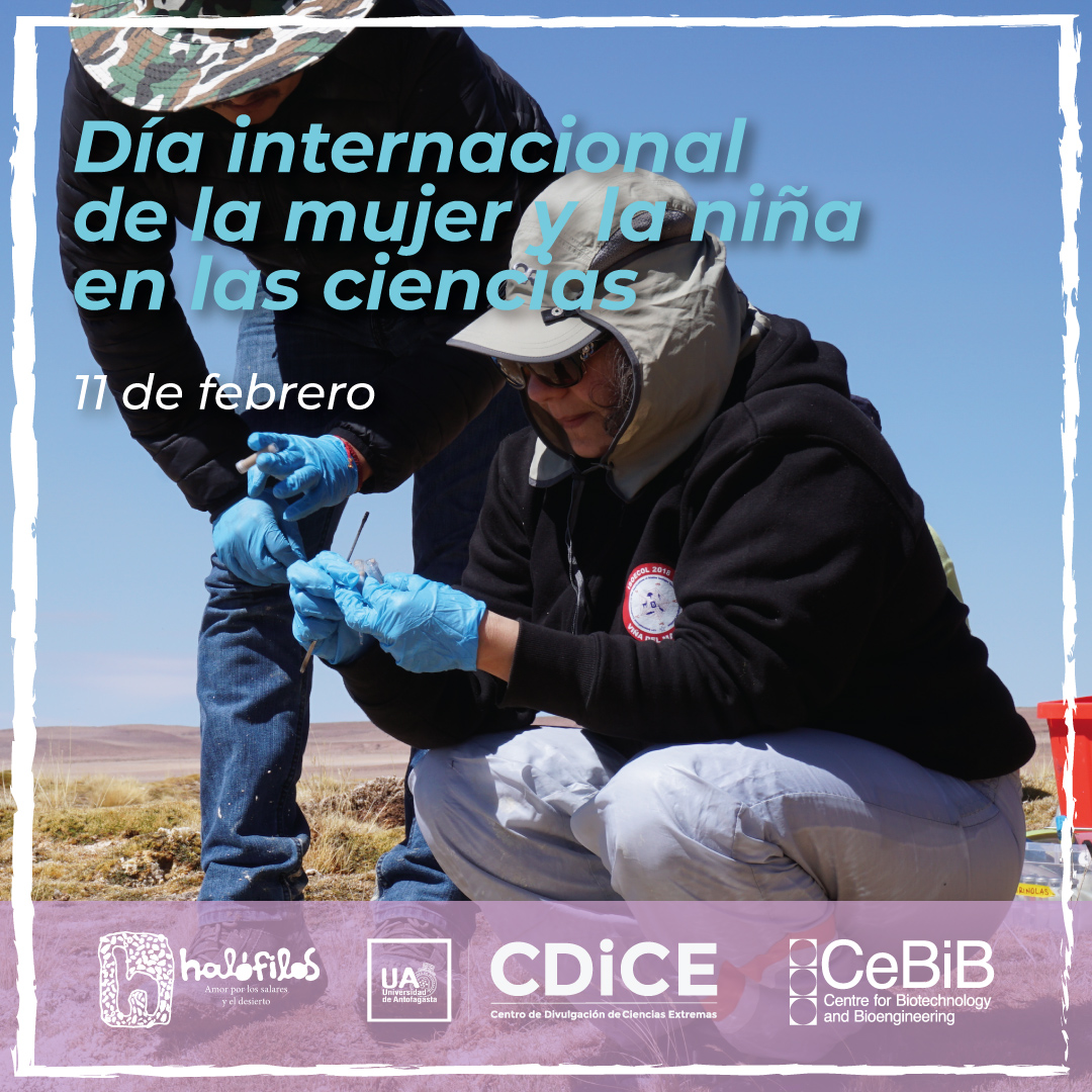 Halófilos tweet media