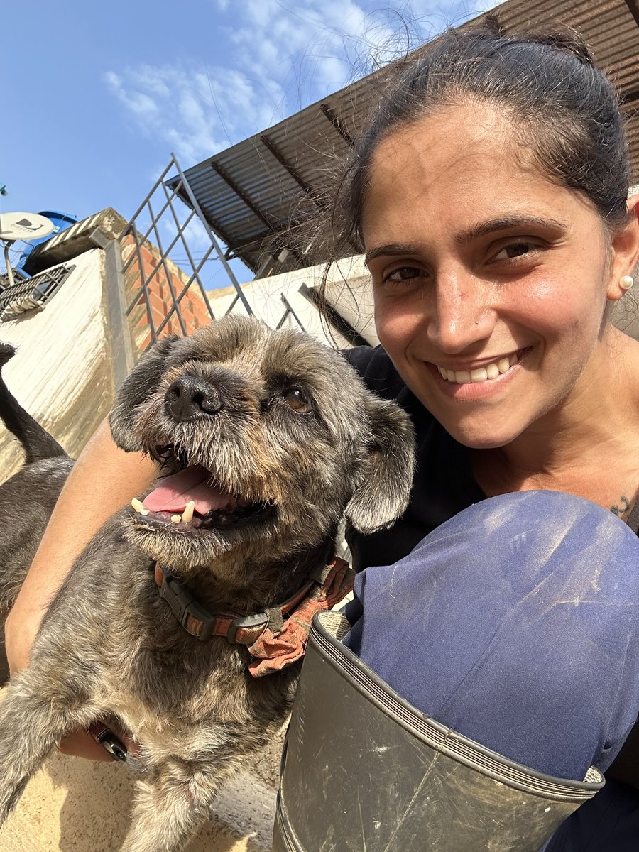 ayudemosapluto's tweet photo. May love and affection never be lacking β₯οΈπ Here is my old beloved #DonRamonAP and my beautiful beloved princess #GingerAP π«Άπ» They are looking for godparents to support us with the payment of the land for the month of March π‘πΆ We are missing $938 to achieve it https://t.co/7Cw5vNhwUJ