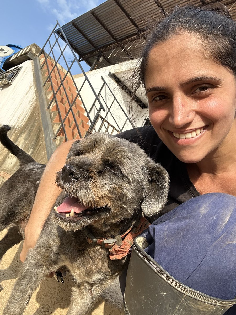 ayudemosapluto's tweet photo. May love and affection never be lacking β₯οΈπ Here is my old beloved #DonRamonAP and my beautiful beloved princess #GingerAP π«Άπ» They are looking for godparents to support us with the payment of the land for the month of March π‘πΆ We are missing $938 to achieve it https://t.co/7Cw5vNhwUJ