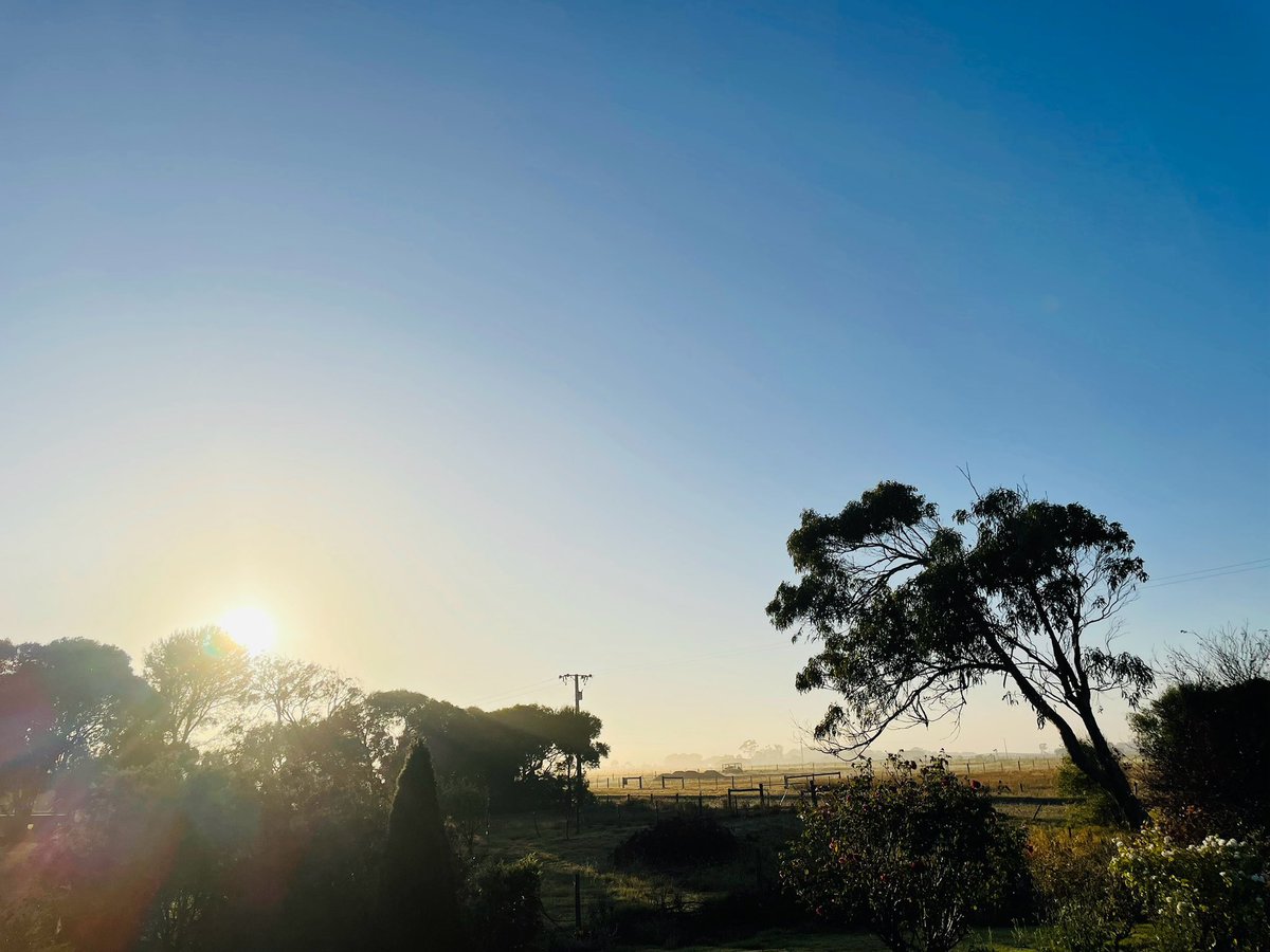 rn_lilydale's tweet image. Good morning #FoggyFarm #FarmLyfe 🥰💋😘❤️😍♥️💕💗💞🌹