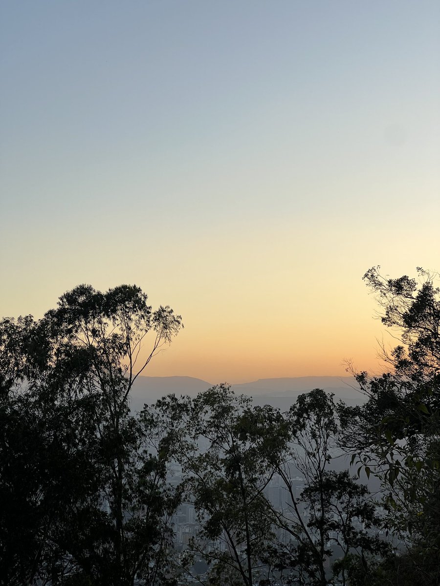 carlos alberto tweet media