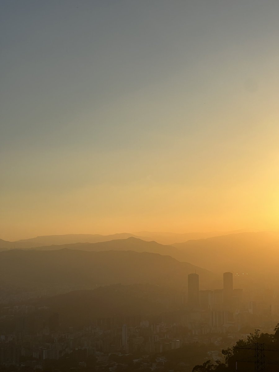 carlos alberto tweet media