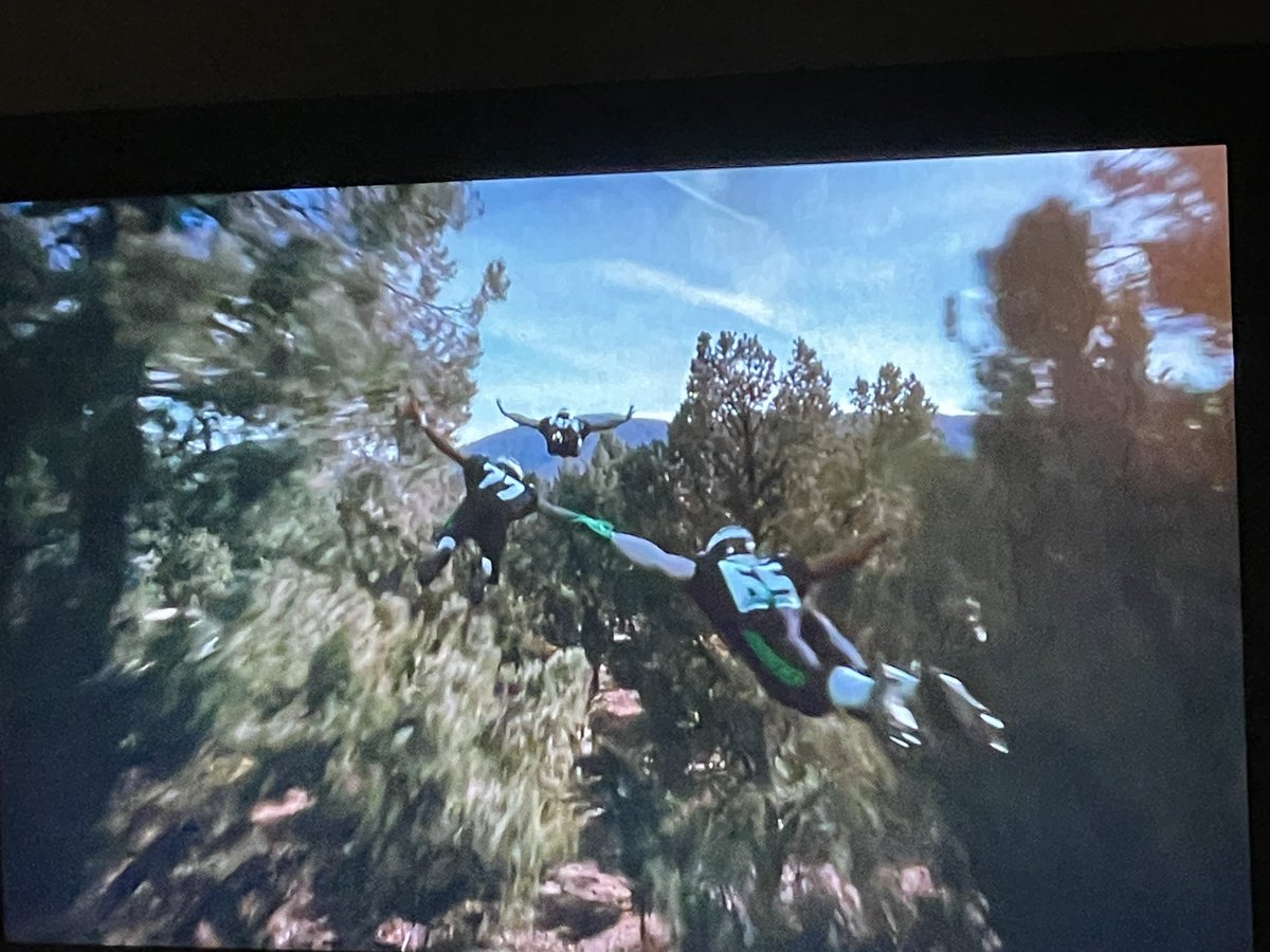 The Birdist tweet media