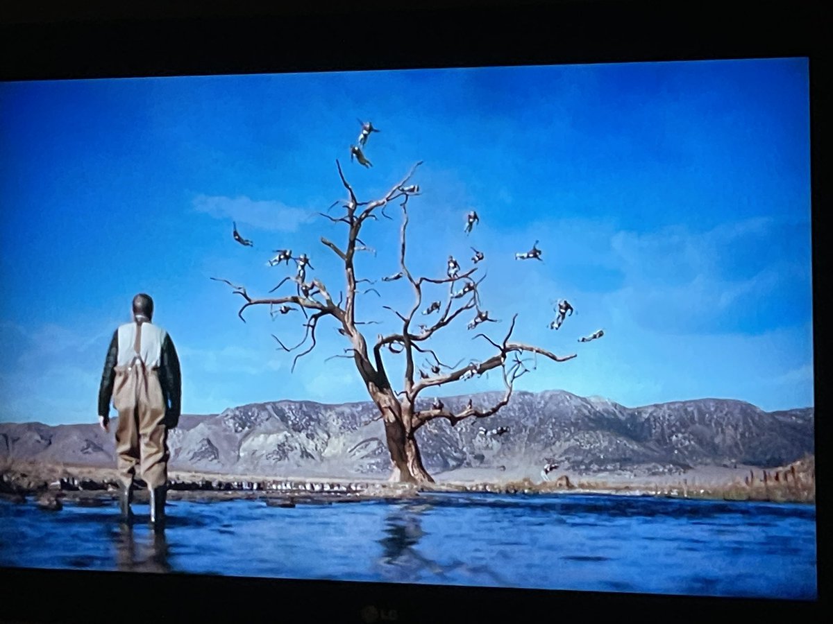 The Birdist tweet media