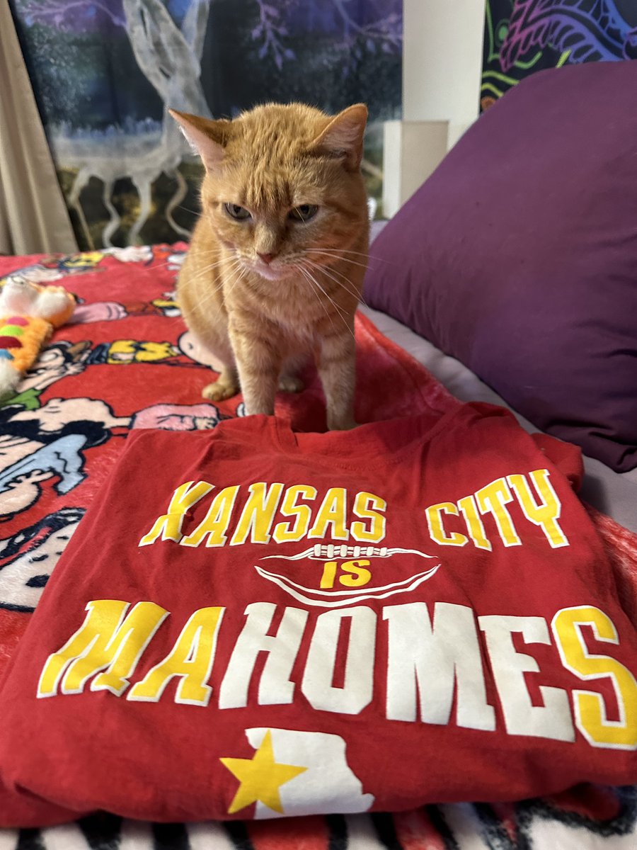 Go <a href="/Chiefs/">Kansas City Chiefs</a> 😺❣️🏈 #SuperBowl