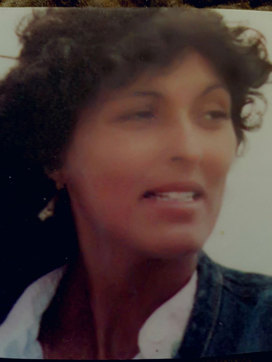 Anem A Pams - Rosa tweet media