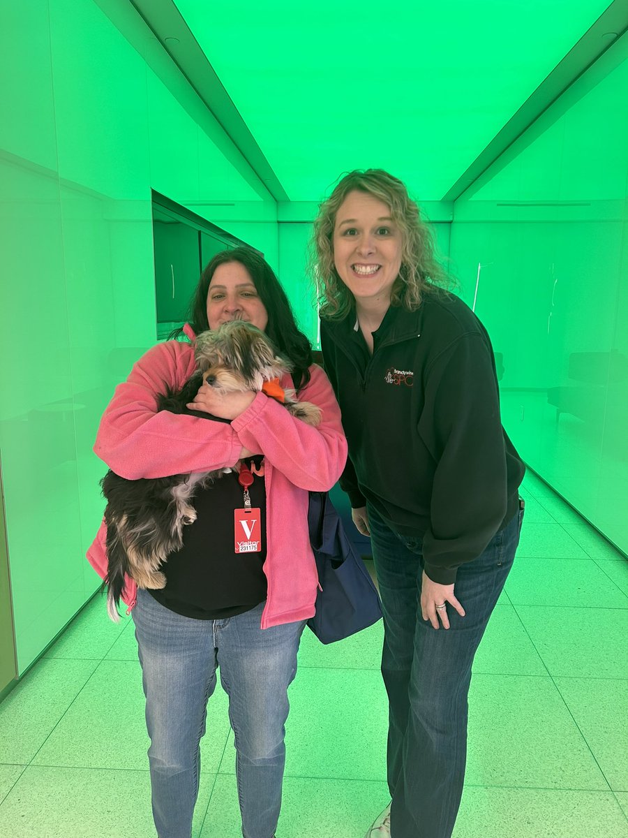 telesara's tweet photo. Vanessa For MVP #PuppyBowl @AnimalPlanet @BrandywineSPCA https://t.co/5cutaxK1E3