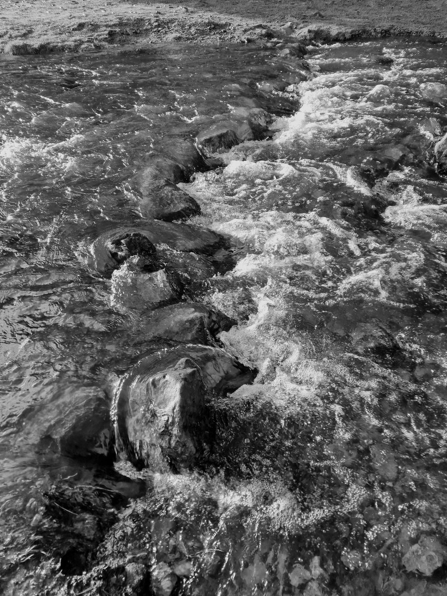 Fast flowing stream(bollyhope burn) leading to the river wear at Hillend/pine woods xx