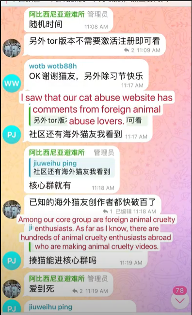 CatAbusers_CN's tweet photo. #CatAbusersChina claim almost 100 foreign abusers are making the cruelty videos. How can we validate their words if no authority gonna investigate? #新年快乐 #ChineseCatDayofMourning #CNY #chinesenewyear #chinesenewyear2024 #SpringFestival #YearOfTheDragon https://t.co/oNKp9pybwi