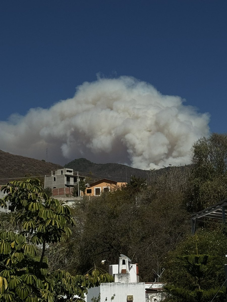 felixpineiro1's tweet photo. @ImparcialOaxaca Ya una realidad los incendios forestales   ante las sequías acumuladas de los últimos 5 años por el cambio climático son una amenaza para nuestros ecosistemas en el estado https://t.co/vszoxFyeaD