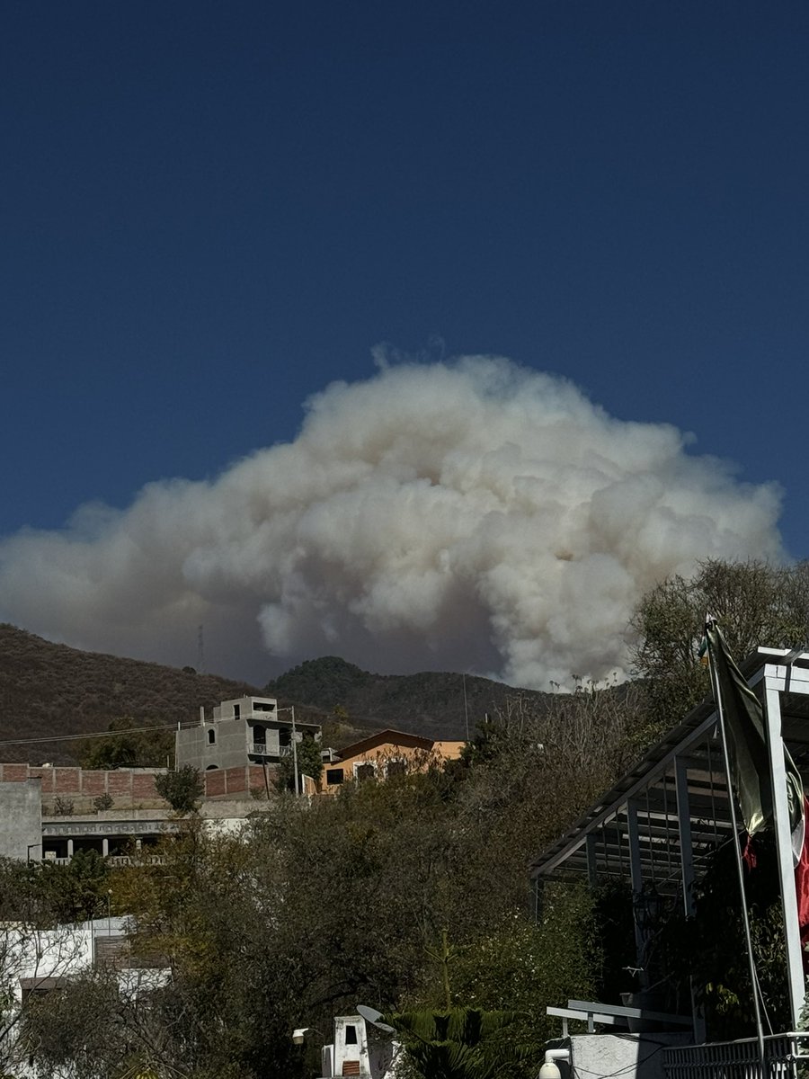 felixpineiro1's tweet photo. @ImparcialOaxaca Ya una realidad los incendios forestales   ante las sequías acumuladas de los últimos 5 años por el cambio climático son una amenaza para nuestros ecosistemas en el estado https://t.co/vszoxFyeaD
