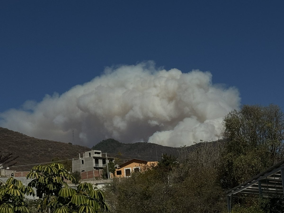 felixpineiro1's tweet photo. @ImparcialOaxaca Ya una realidad los incendios forestales   ante las sequías acumuladas de los últimos 5 años por el cambio climático son una amenaza para nuestros ecosistemas en el estado https://t.co/vszoxFyeaD