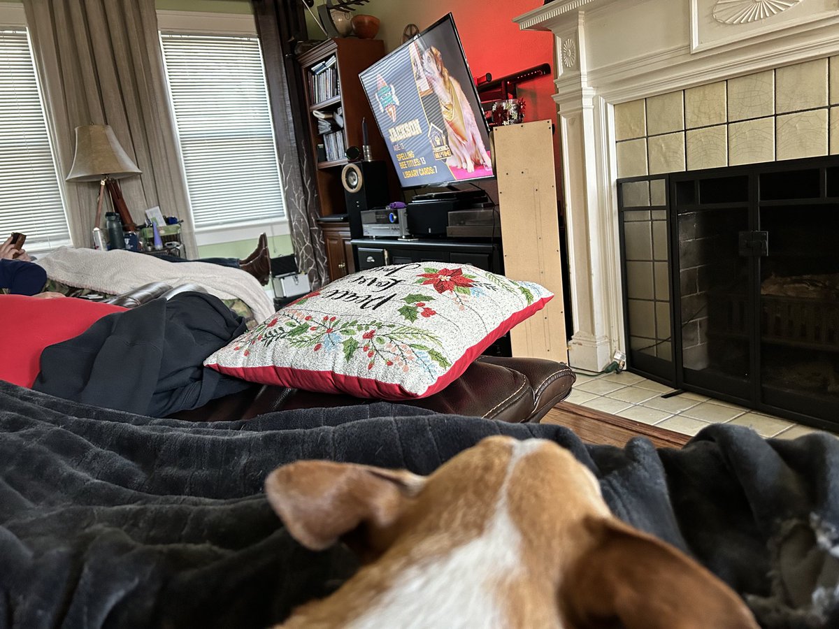 RedderJohn's tweet photo. #puppybowl https://t.co/VwXlmcBsvv