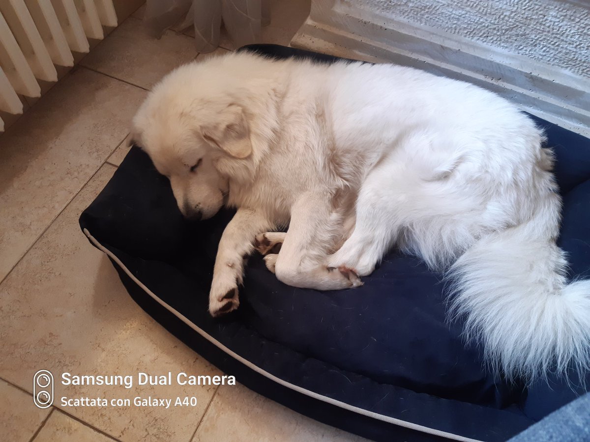 NO STREAM TOMORROW, 
I have to take my son to the hospital for a medical check-up, nothing serious, he has a skin irritation problem.. but I'll be busy all morning.. see you on Tuesday at the usual time ❤ happy Monday everyone ☀️