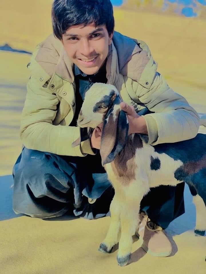 Amir was abducted by Pakistani forces on February 2nd, 2024. His whereabouts are still unknown to his family. Amir recently participated in a March against Baloch genocide and a few days later he was whisked away by the state forces. The Baloch nation across the world demand the