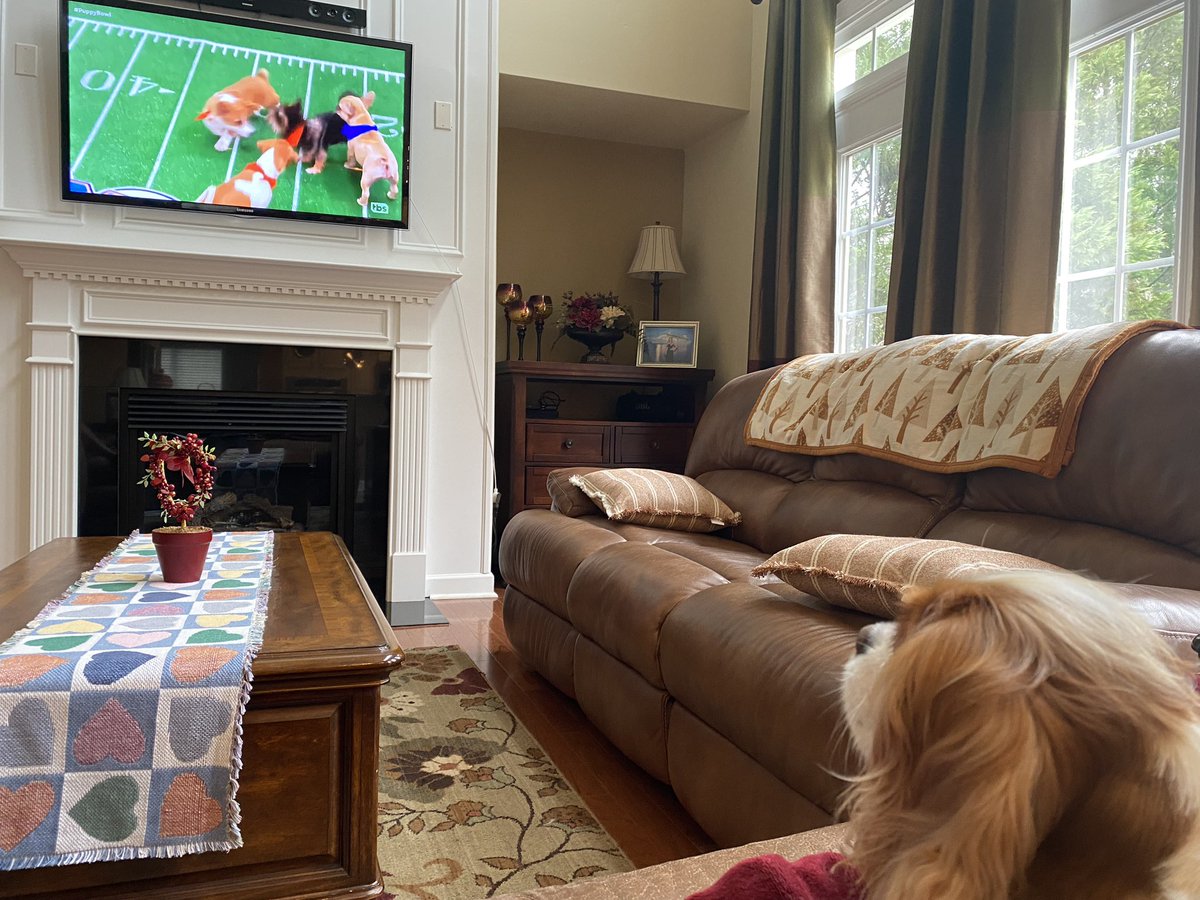 Ann Jacob tweet media