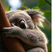 WriterRose's tweet photo. ✨Eating right
✨Moving your body
✨Getting enough sleep

The little stuff that makes all the difference. https://t.co/JOB9uNWRyQ