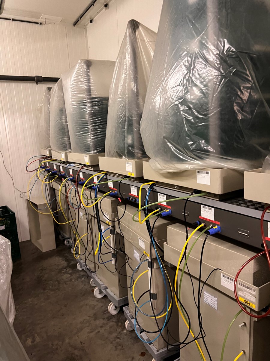 Dynamic Controlled Atmosphere (#DCA)

Interactive storage systems are now being extensively used to extend storage duration 

The DCA system developed by @KUL_Postharvest  is based on #Respiratory #Quotient and is an alternative to other DCA systems offered into the market 

It