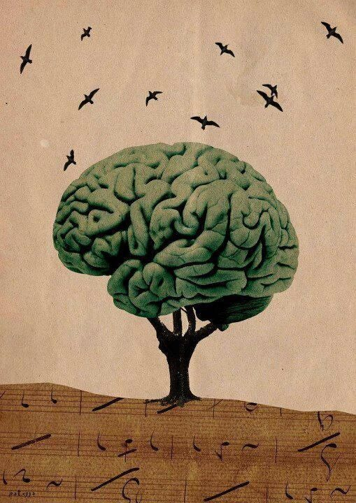 Qué está bajo tu control:
- Que dices
- Que haces
- Qué perspectiva tomas

Qué no está bajo tu control:
- lo que hacen otras personas
- lo que dicen otras personas
- lo que piensan otras personas