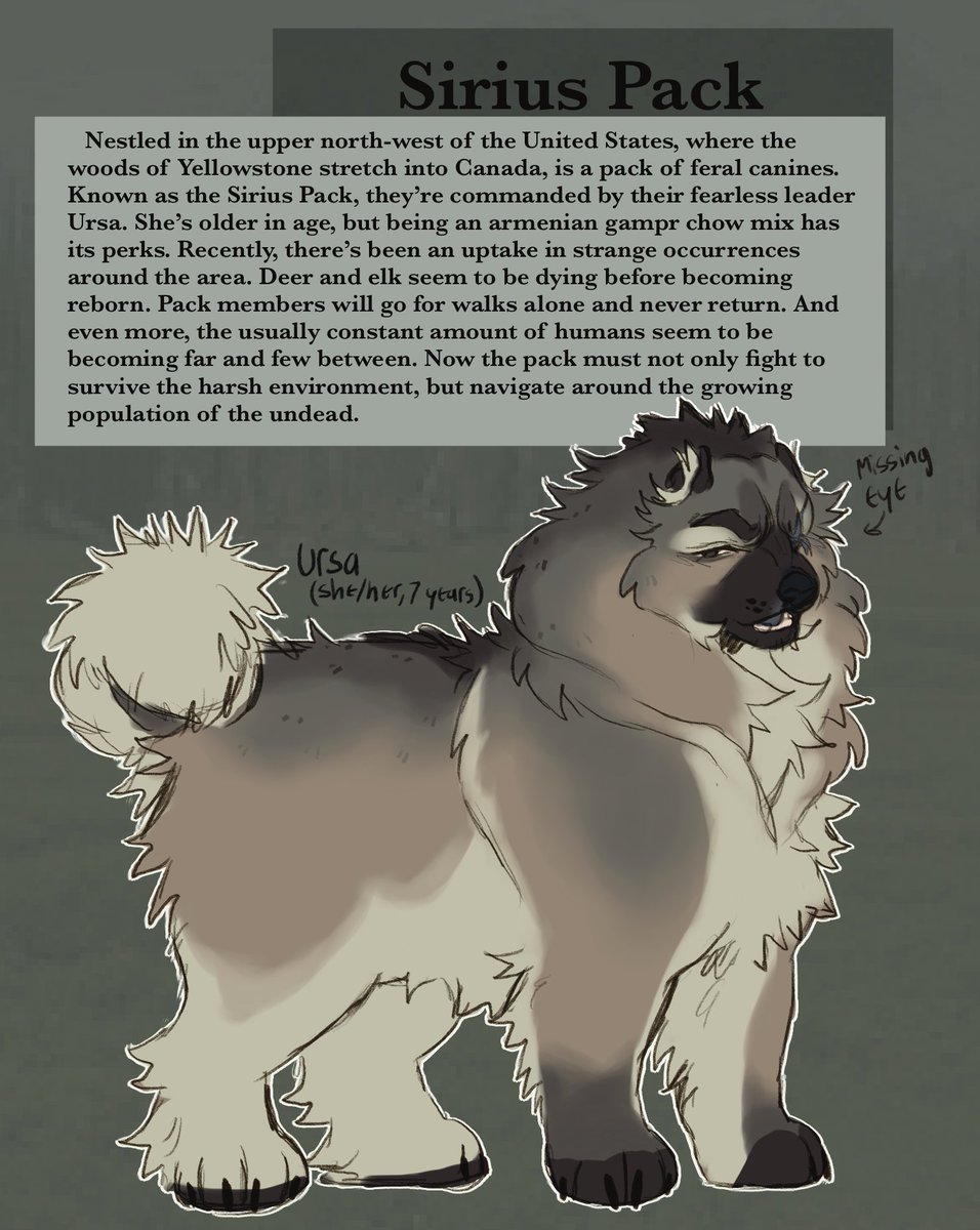 fauxpawprint's tweet photo. Welcome to the Sirius Pack. A pack of feral dogs unknowingly living through the apacolypse.

[more infor below, this is free to anyone to join !!] https://t.co/GED51pt1AJ