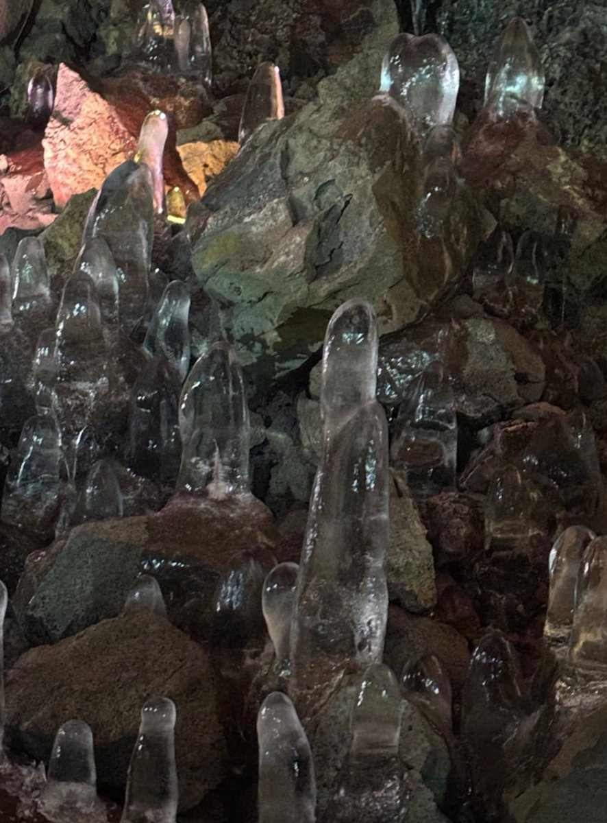 QM Geography tweet media