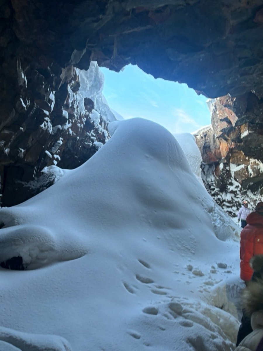 QM Geography tweet media