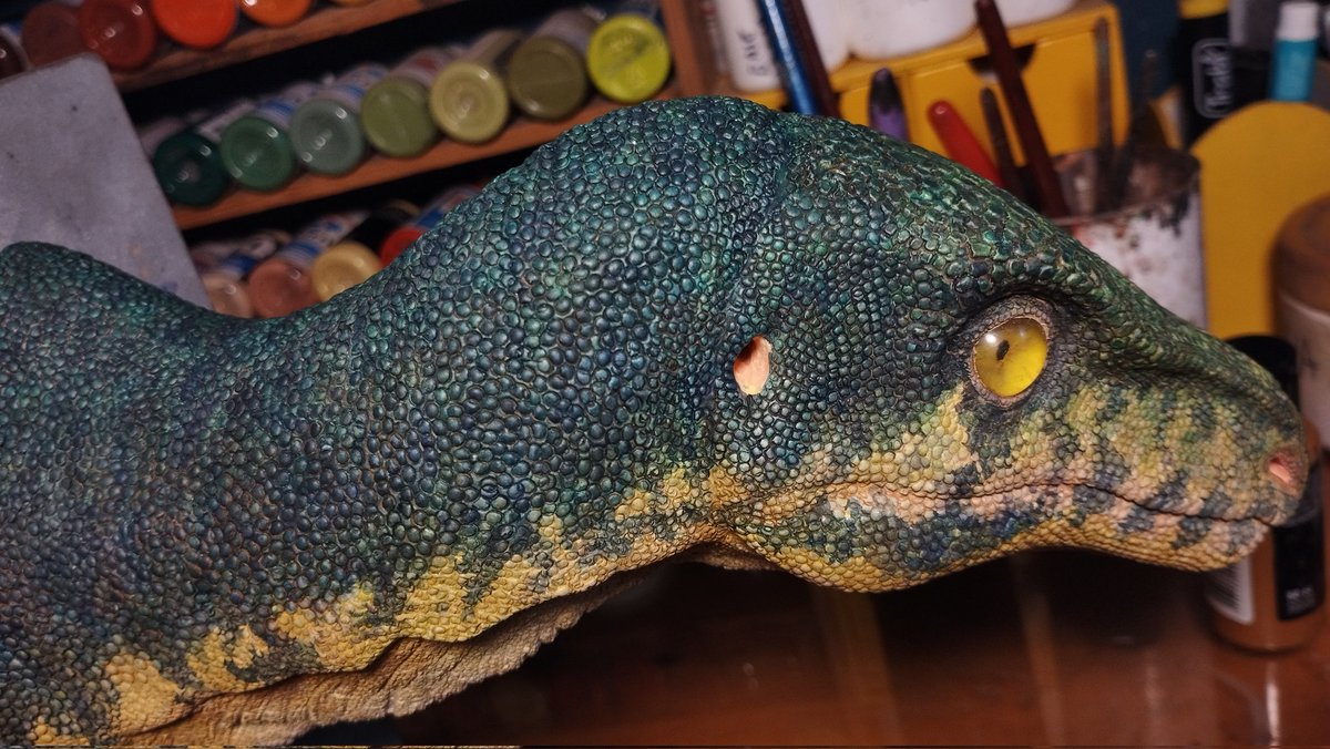 dinoesculturas's tweet photo. Full scale #Eoraptor bust, WIP (95%?), painting inspired by this guy https://t.co/jW4HNKPlmI
