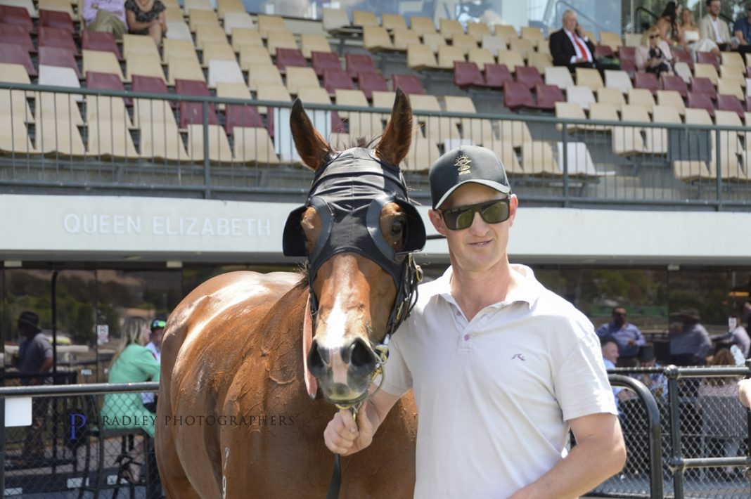 “It’s a long way to go, and I wouldn’t be going there if I wasn’t confident.' Moruya trainer Jamie Stewart is heading to Bathurst on Monday, confident that Super Sprocket can make it win number four in the Country Championships preview. Story ⬇️ nswcountryandpicnicracing.com.au/moruya-visitor…