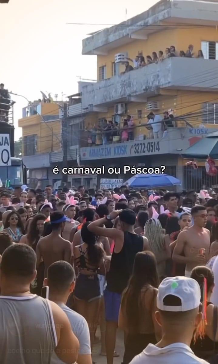 o tanto de coelho pqp