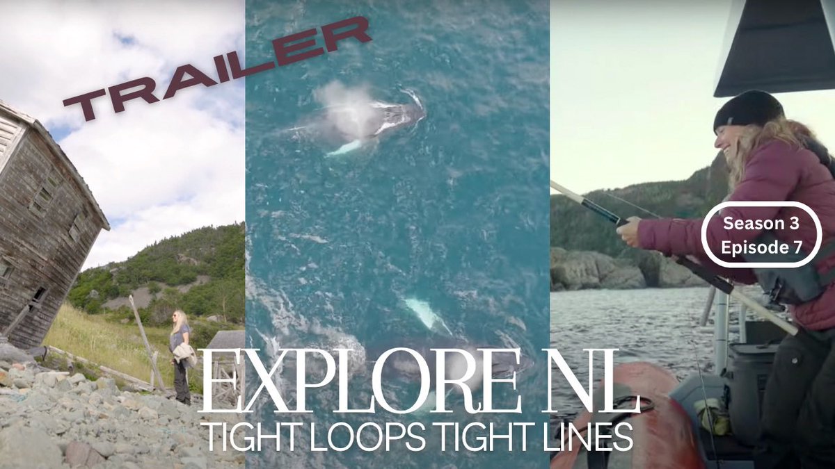 This week on Tight Loops Tight Lines we go cod fishing &amp; snorkelling with Explore Newfoundland. Such a fun day on the water! (Whales &amp; jellyfish😍) Be sure to tune in, it’s airing 5x this week!
youtu.be/8UVqicIv0uU?fe…
#fishing #explorenl #codfishing #NewfoundlandandLabrador