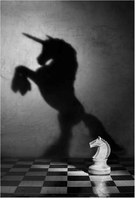 ElArteDeVivir__'s tweet photo. La confianza se gana, cuando dices que vas a hacer algo y lo cumples.

La confianza es calmada, no busca atención, se retroalimenta y no le importa agradar o no agradar. https://t.co/AvK0YWDjJu